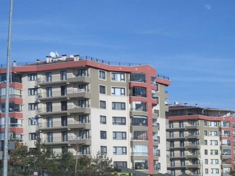 pusatli-1